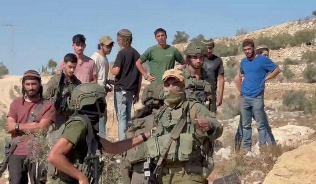 As the olive harvest begins in the West Bank, Israeli settlers attack Palestinians while the IDF watches