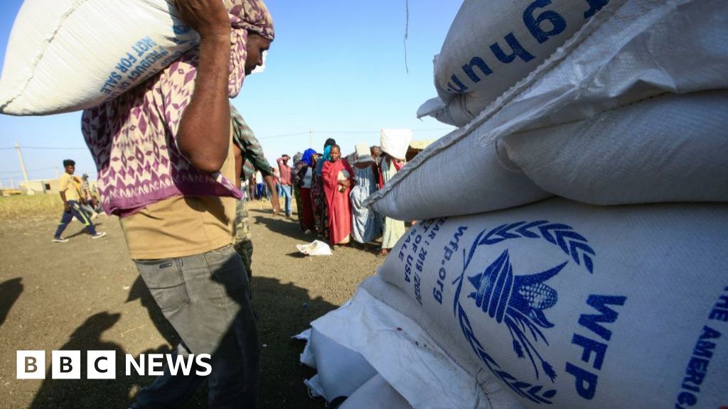 Sudan's military expels top UN food aid officials as conflict escalates