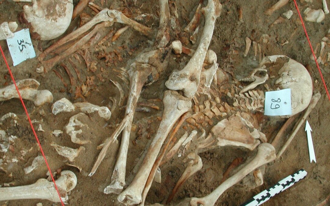 What killed Napoleon's army? Scientists find clues in DNA from fallen soldiers' teeth