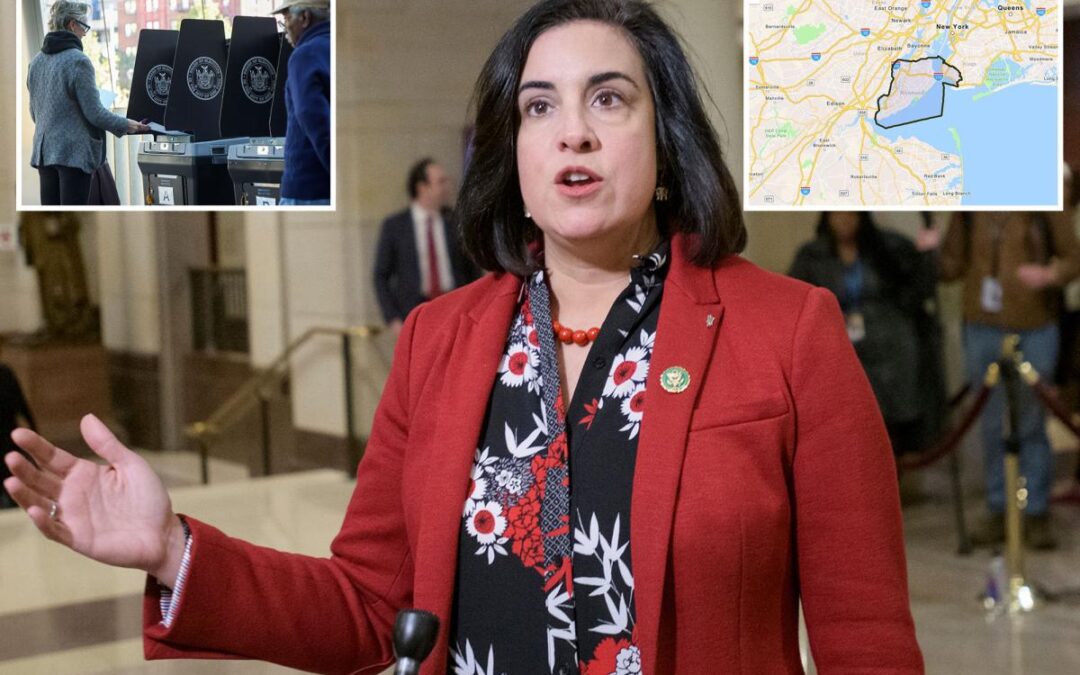 Rep. Nicole Malliotakis rips gerrymandering lawsuit for Staten Island district as ‘nonsensical’ power grab