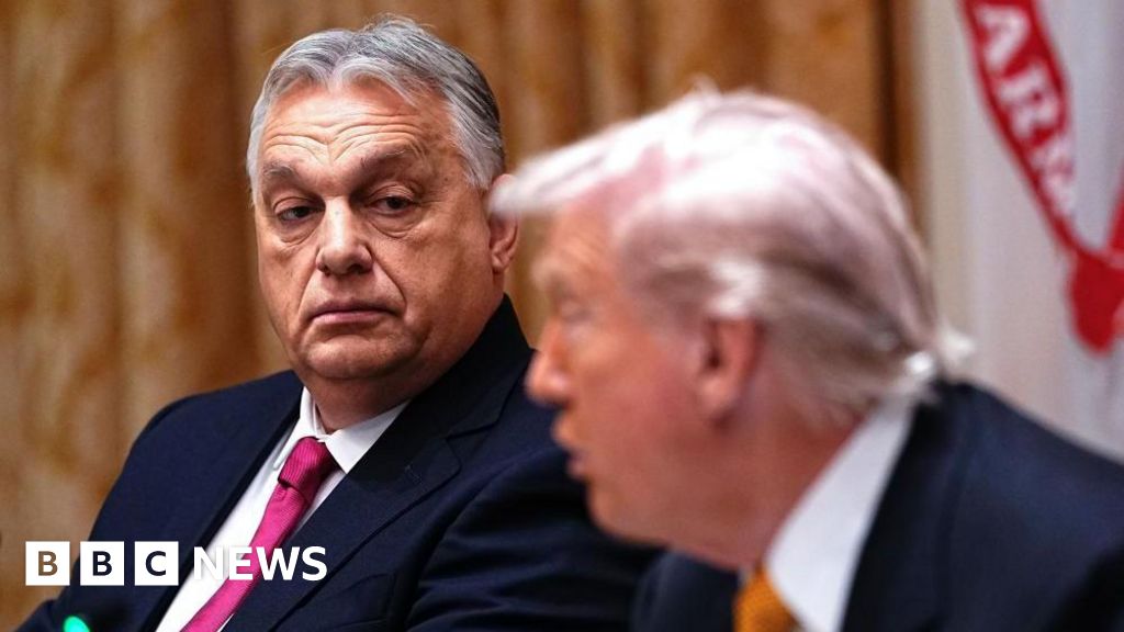 What Hungary's Orban did – and didn't – get from Trump