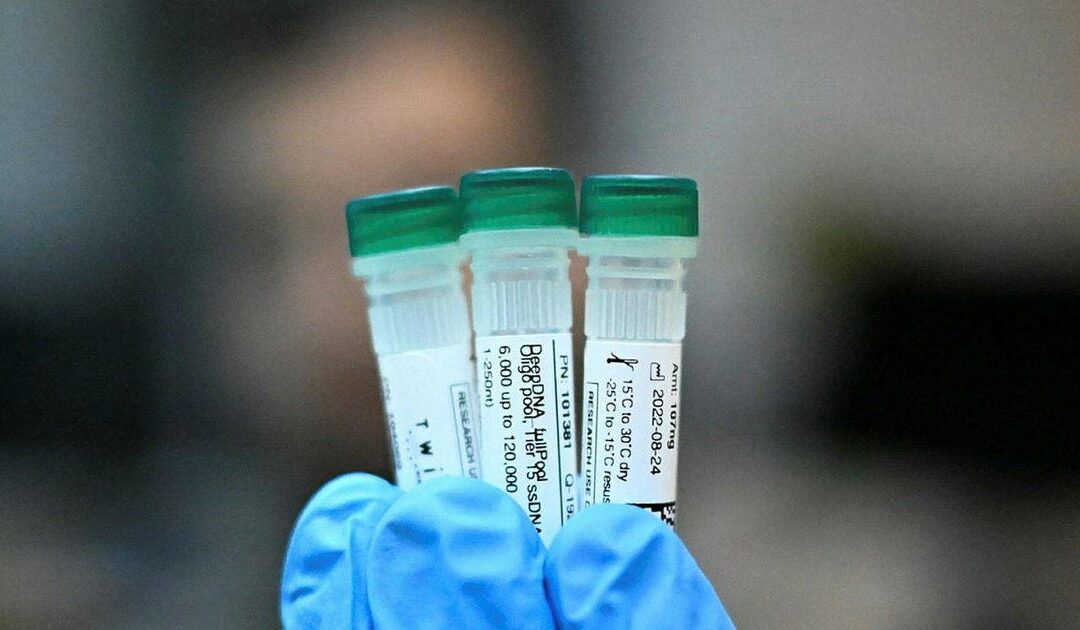 Faulty software led to incorrect genetic screening results, Israeli Health Ministry says