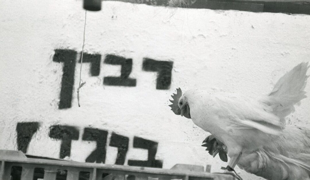 What have we learned in the 30 years since Rabin's assassination?