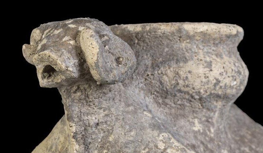 Earliest winepress in Israel and cultic set discovered in Canaanite Megiddo