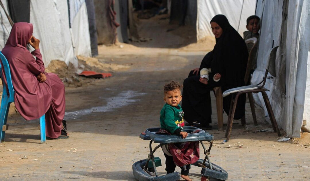 As long as there is no political horizon for Gaza, 70,000 Palestinians died in vain