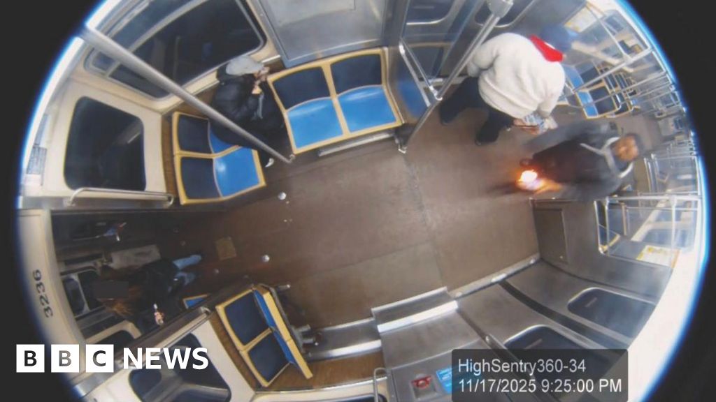 Chicago suspect who set woman on fire a 'career criminal', White House says