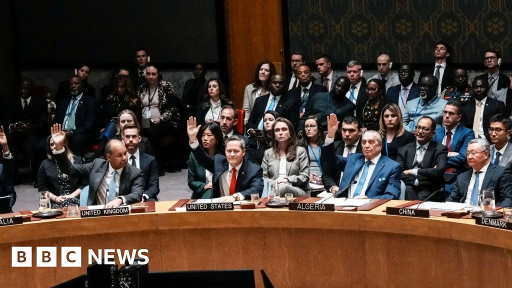 Trump's plan for Gaza backed by UN Security Council