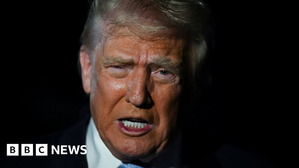 Trump calls on House Republicans to vote to release Epstein files