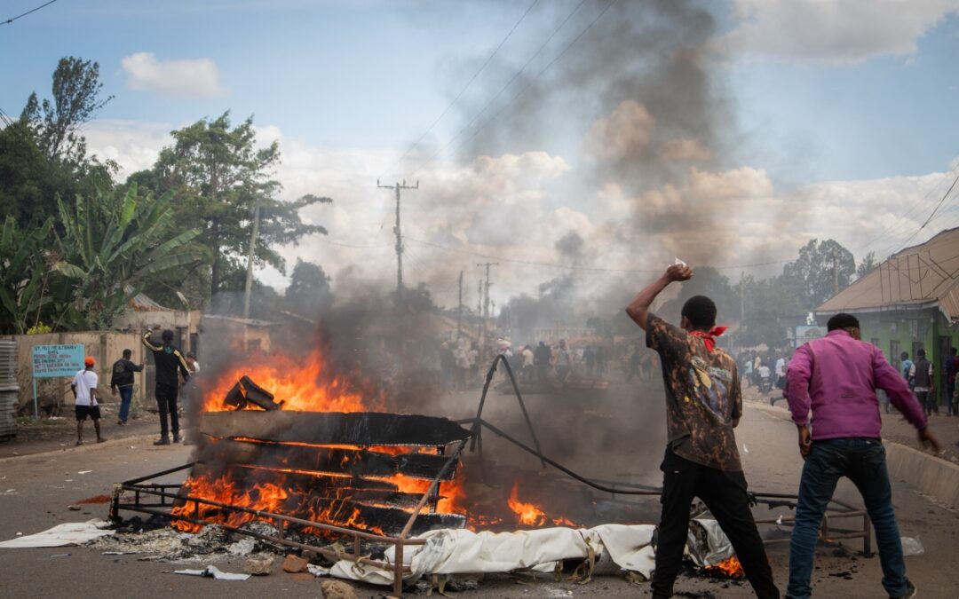Tanzanian opposition decries 'sham' elections, alleges hundreds of deaths