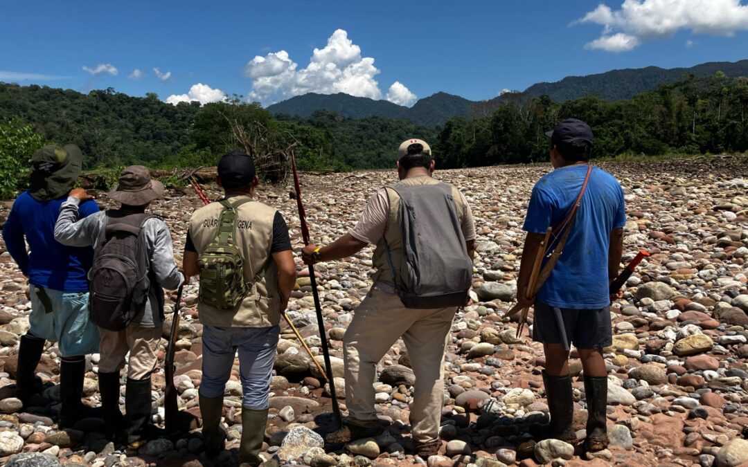 'We have no choice': Indigenous guards take on cocaine gangs in Peru's Amazon