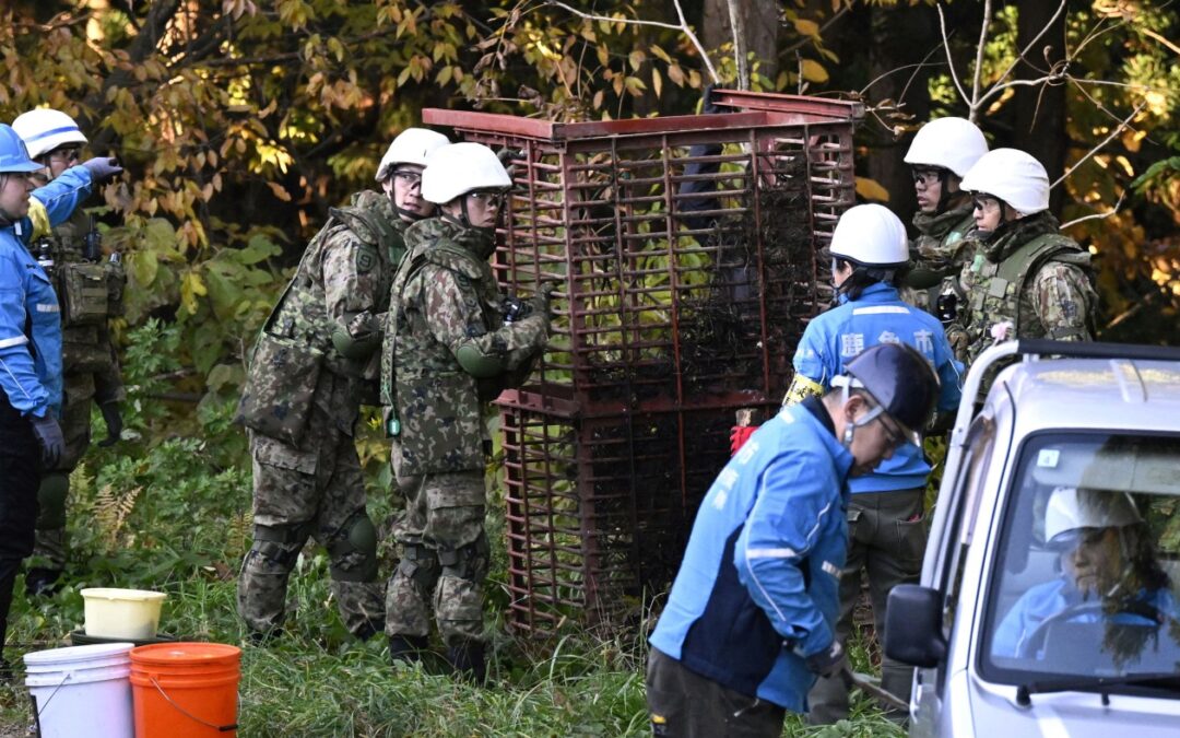 Japan deploys the military to counter a surge in bear attacks