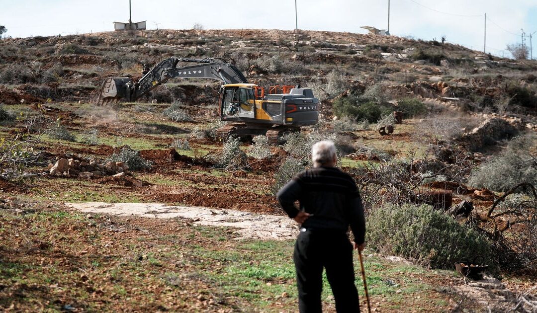 IDF uproots hundreds of olive trees, razing groves in Palestinian West Bank village