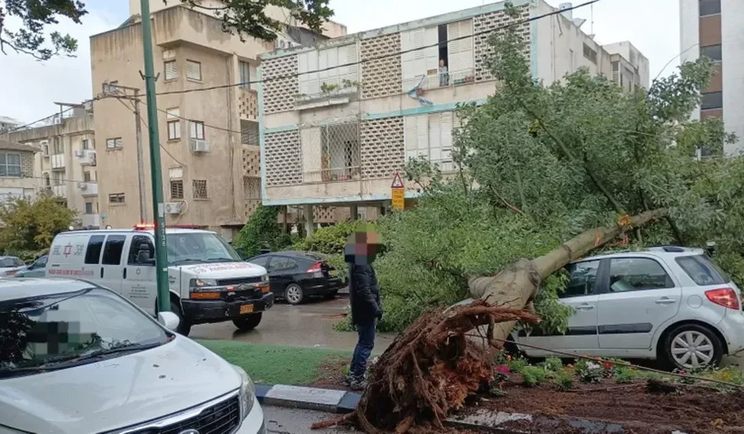 Heavy rain, strong winds hit central Israel as tree falls onto moving car in Herzliya