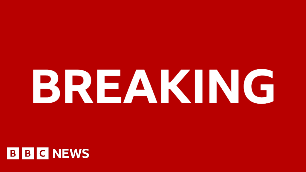 Two US soldiers and interpreter killed by Islamic State gunman in Syria, US military says