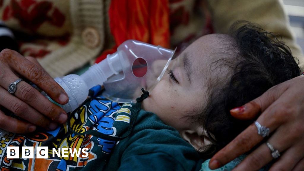 Delhi records 200,000 acute respiratory illness cases amid toxic air