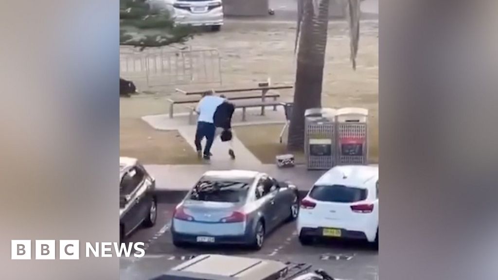 Eyewitness captures moment man tackles and disarms Bondi shooter