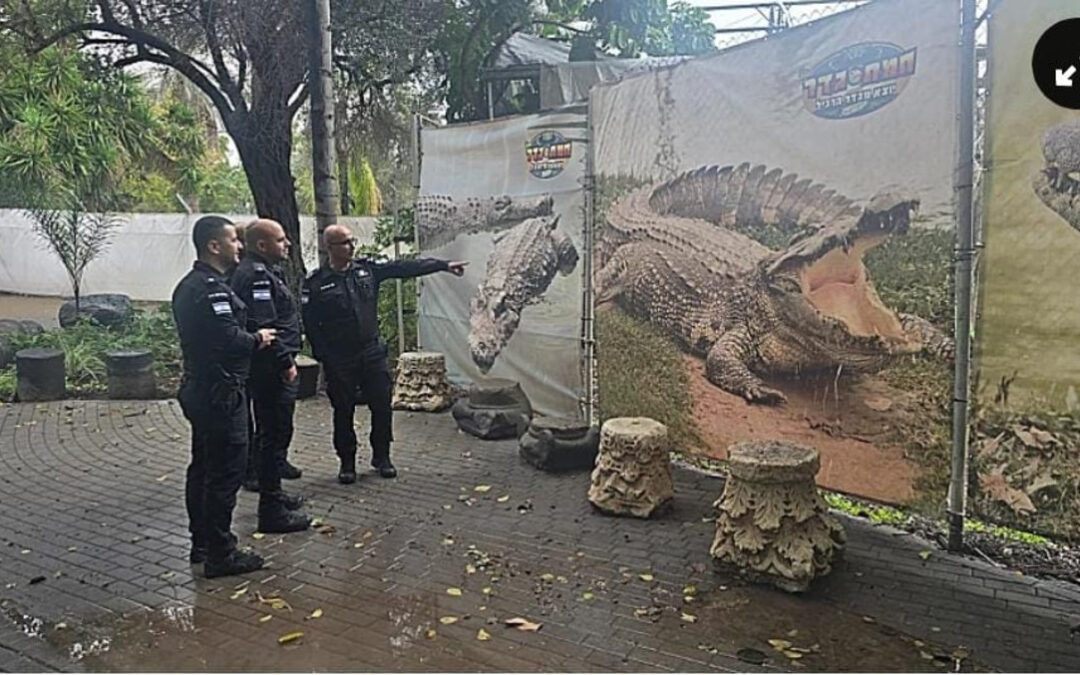 החלום של בן גביר בדרך: קציני שב"ס הלכו ל"חמת גדר" ללמוד על תנינים