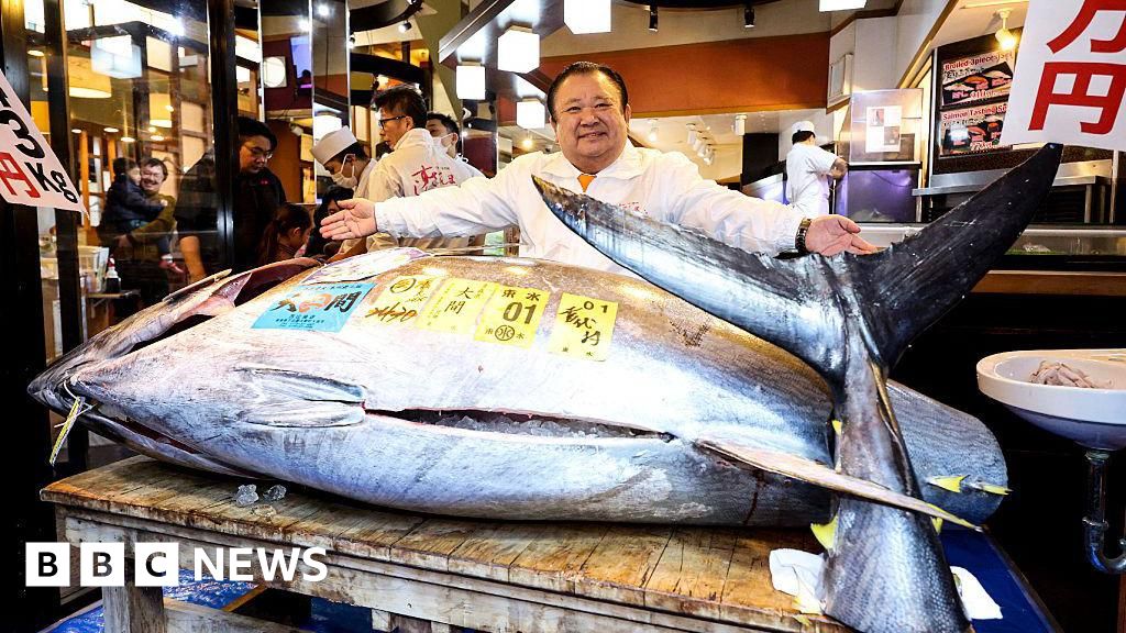 Bluefin tuna fetches record $3.2m at Tokyo auction